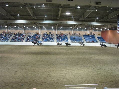pa farm show equine arena  pennsylvania farm show  flickr