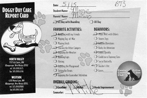 dog report card google search dog daycare dog boarding kennels