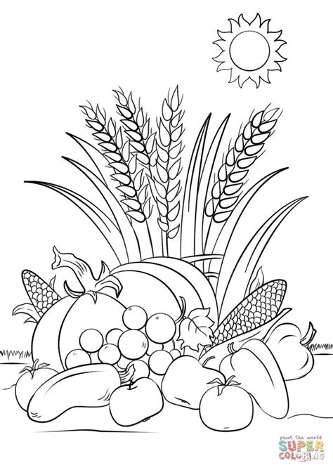 fall harvest coloring page  printable coloring pages harvest