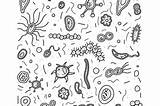 Germs 30seconds sketch template