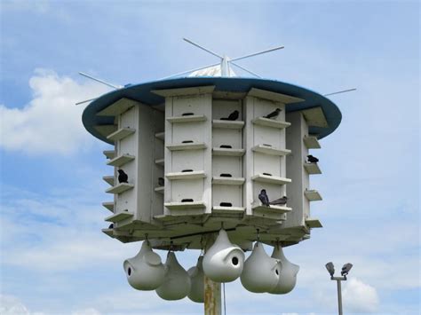 martin bird house instruction  city inhabitant birdcage design ideas