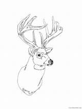 Coloring4free Animal sketch template