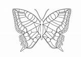 Butterfly Coloring Pages Morpho Blue Color Printable Butter Getcolorings sketch template
