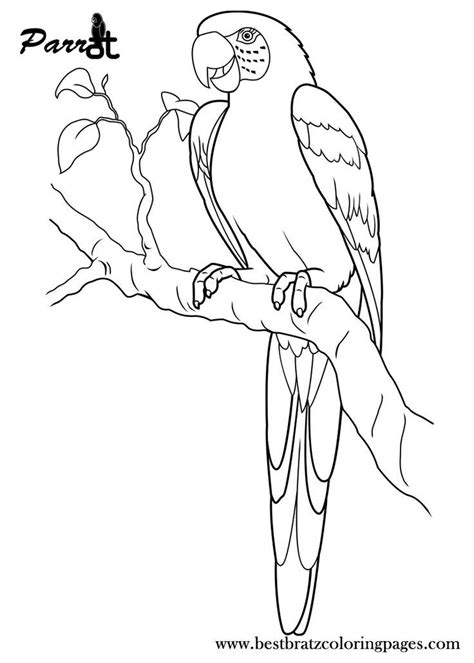 printable parrot coloring pages  kids butterfly coloring page