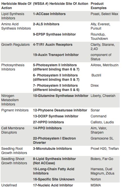 What’s The Difference Between Herbicide Mode Of Action And