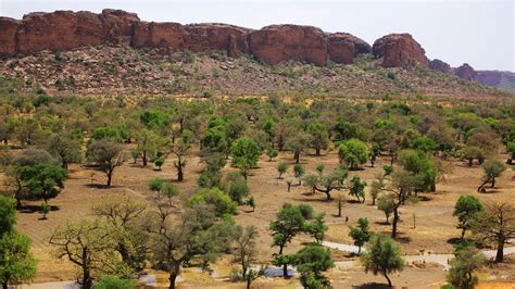 africas great green wall    reaching local climate outcomes  details