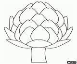 Stampare Ortaggi Alcachofa Comestible Pflanze Essbare Artischocke sketch template