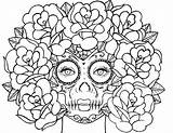 Roses Getcolorings Colo sketch template