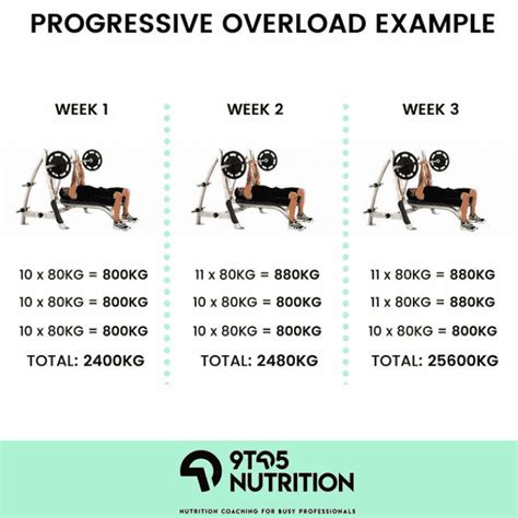 progressive overload  muscle gain    nutrition