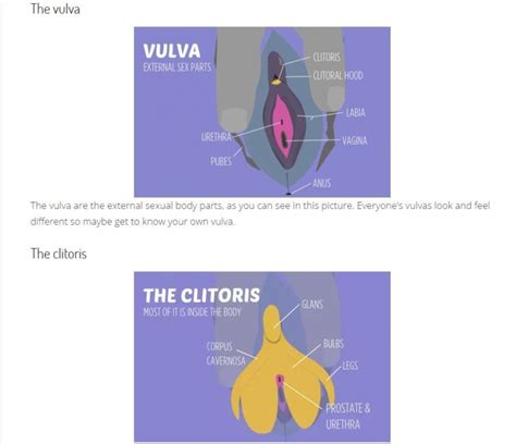 Stop Ignoring The Clitoris Making Sex Education About Pleasure