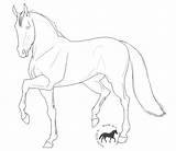 Dressage Horse Coloring Pages Horses Colouring Colors Color Colorin Popular sketch template