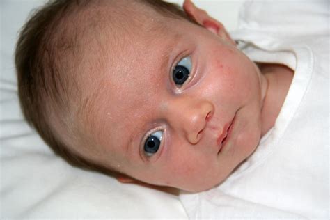 newborn baby  blue eyes image  stock photo public domain