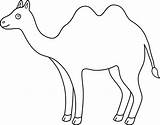 Camel Clip Outline Clipart Animals Drawing Animal Lineart Desert Cartoon Cliparts Colorable Coloring Line Library Pages Clipartbest Sweetclipart sketch template