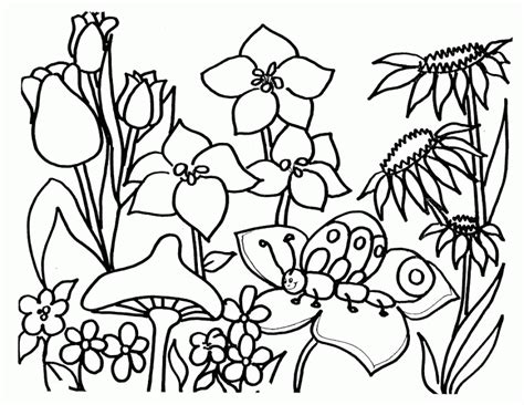 wildflower coloring pages coloring home