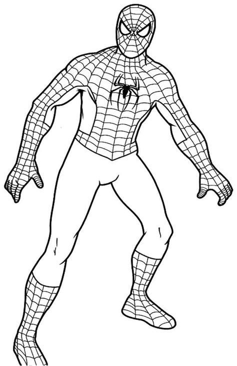 spiderman coloring pages  large images superman coloring pages
