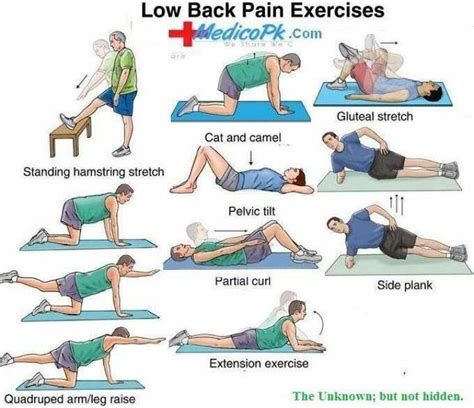 24 Best Stretches To Relieve Lower Back Pain Images On Pinterest