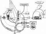 Cycle Nitrogen Soil Phosphorus Coloring Carbon Drawing Diagram Schematic Getdrawings Water Organic Figure Comments sketch template