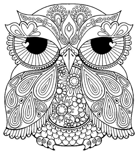 photo  owl coloring pages  adults davemelillocom owl