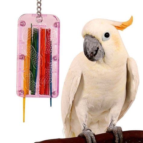 details  drop stix stick refill caged bird toy  parrots cockatoos conures paraketts