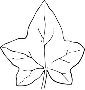 faerlmarie coloring pages  pumpkin leaves coloring pages