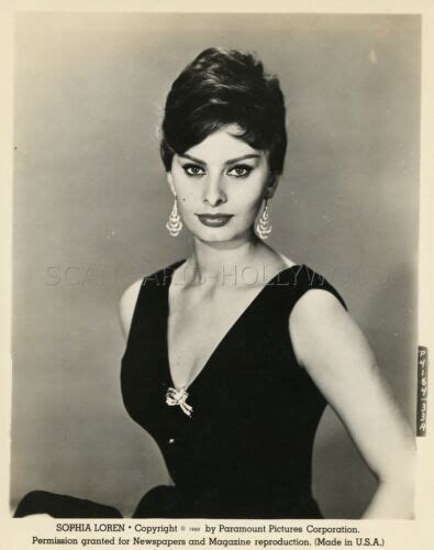 Sexy Sophia Loren 1960 Vintage Photo Original Busty Ebay