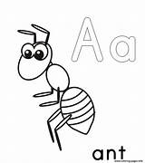 Ant Coloringbay Alphabet Grasshopper Lets Clipartmag sketch template