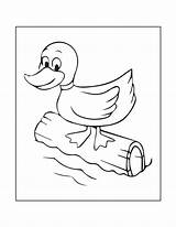 Verbnow Ducks sketch template