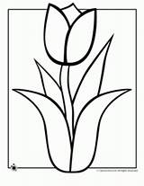 Spring Coloring Pages Flowers Flower Tulip Disney Outline sketch template