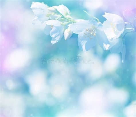 gentle spring background stock image image  grass