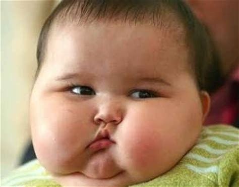 funniest picture finding   fat baby pictures