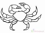 Crab Kepiting Mewarnai Krab Crabe Kolorowanki Dzieci Caranguejos Hermit Crabs Bestcoloringpagesforkids Paud Tk Wikiclipart sketch template