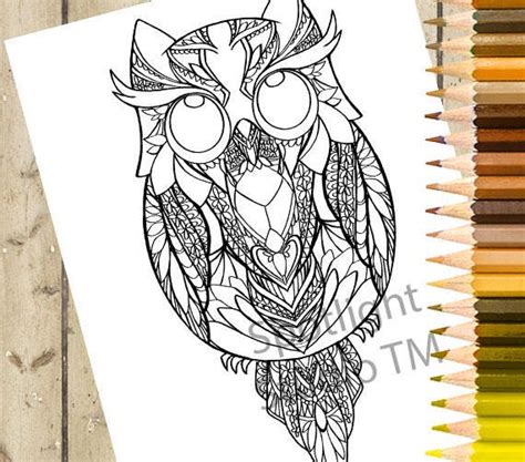 owl adult coloring page printable coloring page bird owl