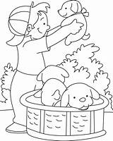 Coloring Playing Pages Puppy Boy Kids Puppies Color Template Poker Bestcoloringpages Sheets Getcolorings Little sketch template