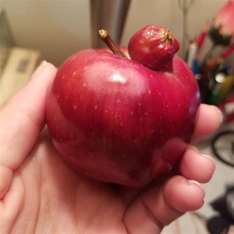apple grew   bigger apple rmildlyinteresting