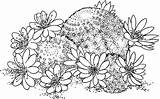 Asterias Astrophytum Sand sketch template