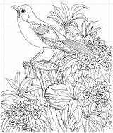 Difficile Coloring Birds Coloriage Dessin Kids Imprimer Pages Color Print Animaux Magique Pour Fille Colorier Children Dessins 4eme Printable sketch template