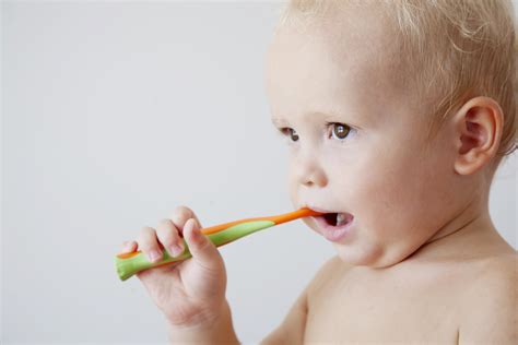 start brushing babies teeth