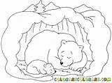Bear Coloring Hibernating Cave Pages Clipart Sleeping Bears Animals Colouring Hibernation Polar Printable Animal Preschool Színez Hibernate Color Sheet Winter sketch template