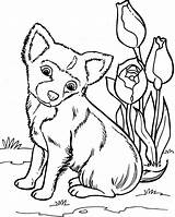 Puppy Coloring Pages Dog Cute Kleurplaten Chihuahua Printable Kleurplaat Honden Kids Dogs Drawing Print Voor Kawaii Dieren Tekenen Sheet Huisdieren sketch template