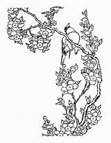 Cherry Blossom Coloring Getcolorings Tree Color sketch template