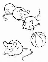 Coloring Pages Mice Mouse Cute Guinea Pig Color Three Rodent Drawing Getdrawings Getcolorings Luna sketch template