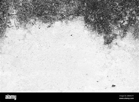 junior opener dolce concrete stain texture storia presa arashigaoka