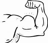 Arm Muscle Clipart Clip Strong Arms Cartoon Coloring Cliparts Flexing Muscles Drawing Muscular Google Body Human Pages Samson Library Printable sketch template