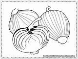 Onions Coloring Pages Printable Kids Related Post sketch template