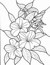 Coloring Pages Plants Advanced Flower Jungle Rainforest Printable Getcolorings Color Cute Getdrawings sketch template