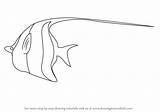 Moorish Idol Draw Step Fishes Tutorials Drawing sketch template