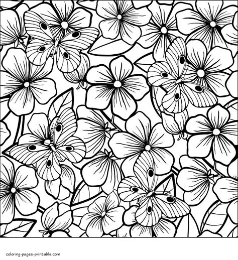 full page butterfly  flowers coloring sheet coloring pages