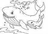 Whale Preschoolers sketch template