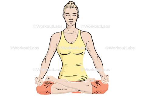 lotus padmasana yoga poses guide by workoutlabs