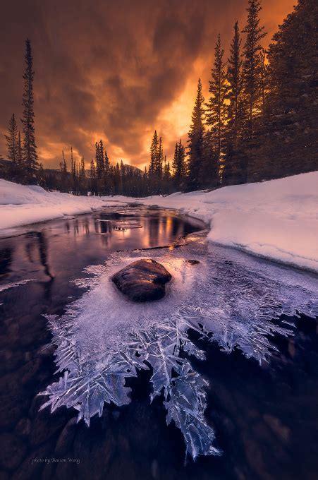 Winter Sunset In The Forest Nature Photography Paesaggi